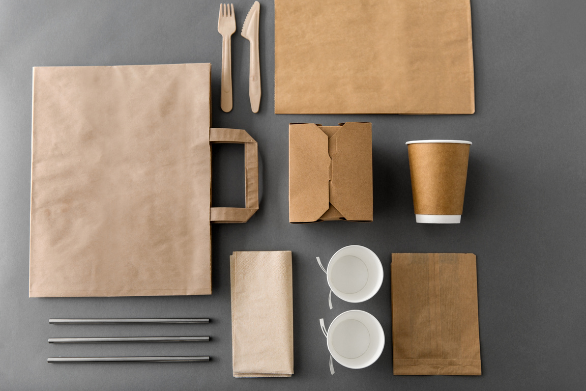 Disposable Paper Food Packaging Flatlay